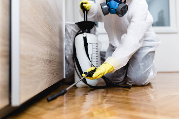 Best Pest Prevention Services  in Egypt, AL