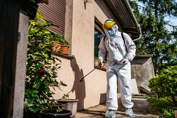 Best Commercial Pest Control Services  in Egypt, AL