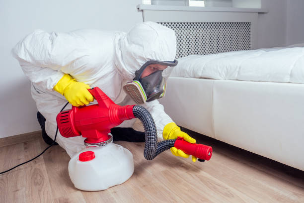 Best Flea Control Services  in Egypt, AL