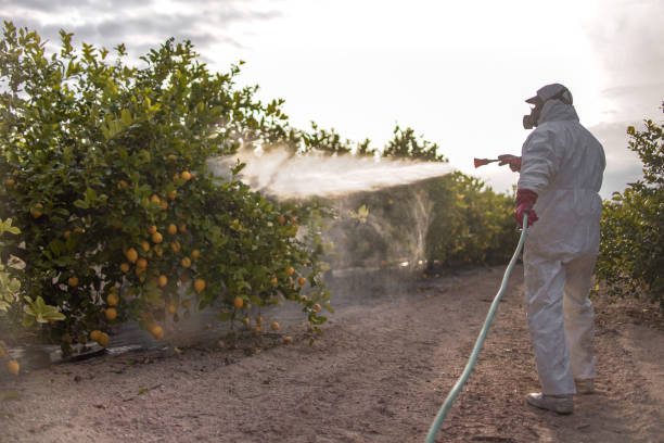 Best Cockroach Control Services  in Egypt, AL