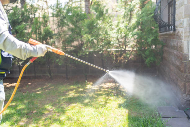 Flea Control Services in Egypt, AL
