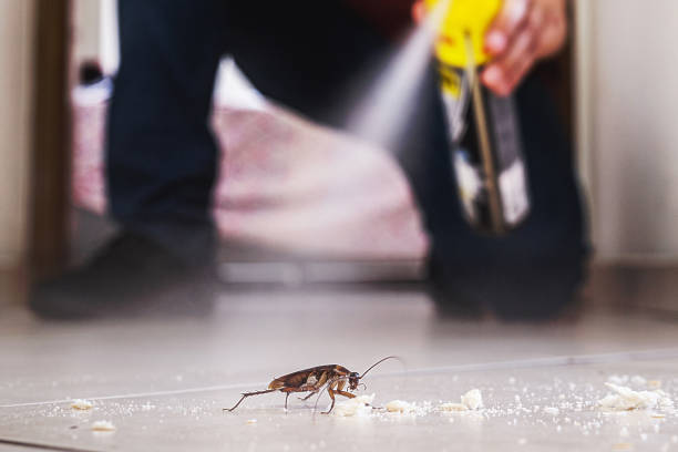 Best Pest Control Treatment  in Egypt, AL