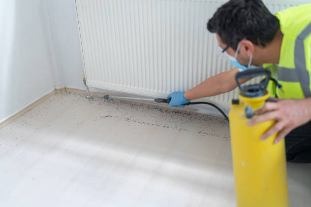 Egypt, AL Pest Control Pros