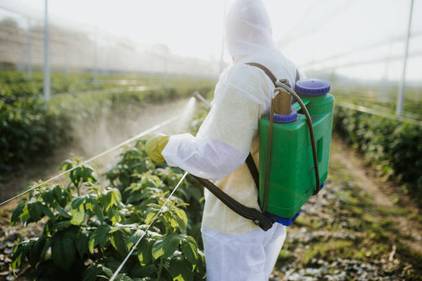 Best Pest Removal Services  in Egypt, AL